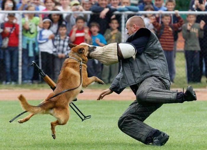 Foto pobudka #359 22