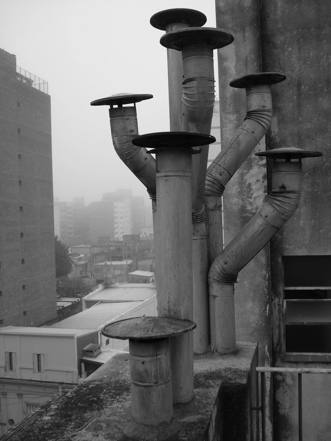 Fotos de Rosario en blanco y negro (fotos propias) Fotos de Rosario en blanco y negro (fotos propias)
