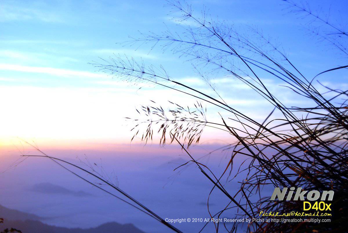 มาแชร์รูปวิวกันเถอะ....
