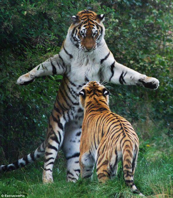 Foto pobudka #151 53
