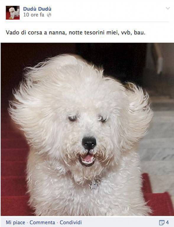 Immagine