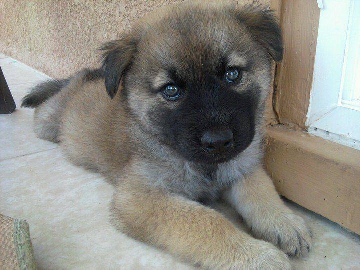 Foto pobudka #475 75