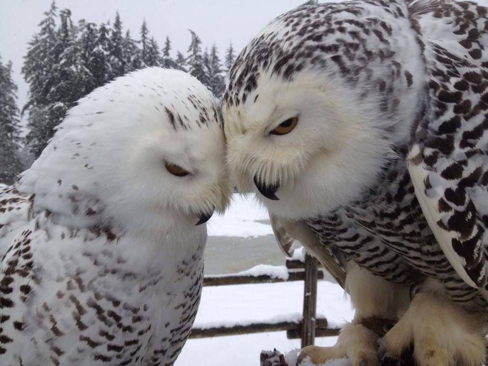 960x720 Foto pobudka #1044 41
