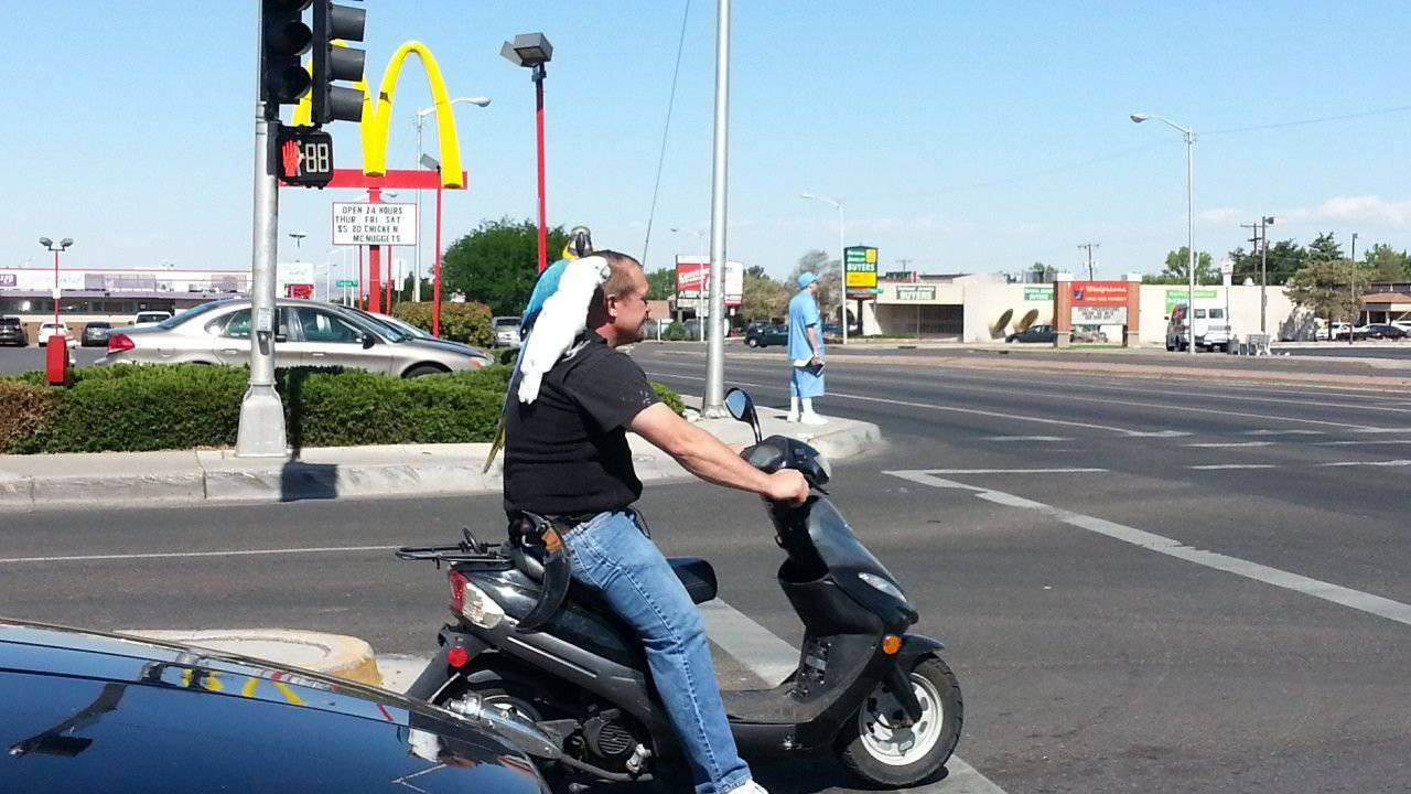 1280x720 Foto pobudka #1109 65