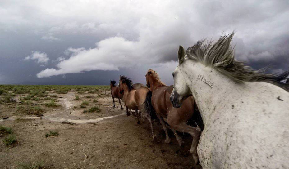 930x545 Zdjęcia z GoPro 13