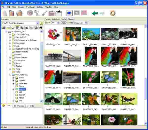 Portable ThumbsPlus v8.0.3516