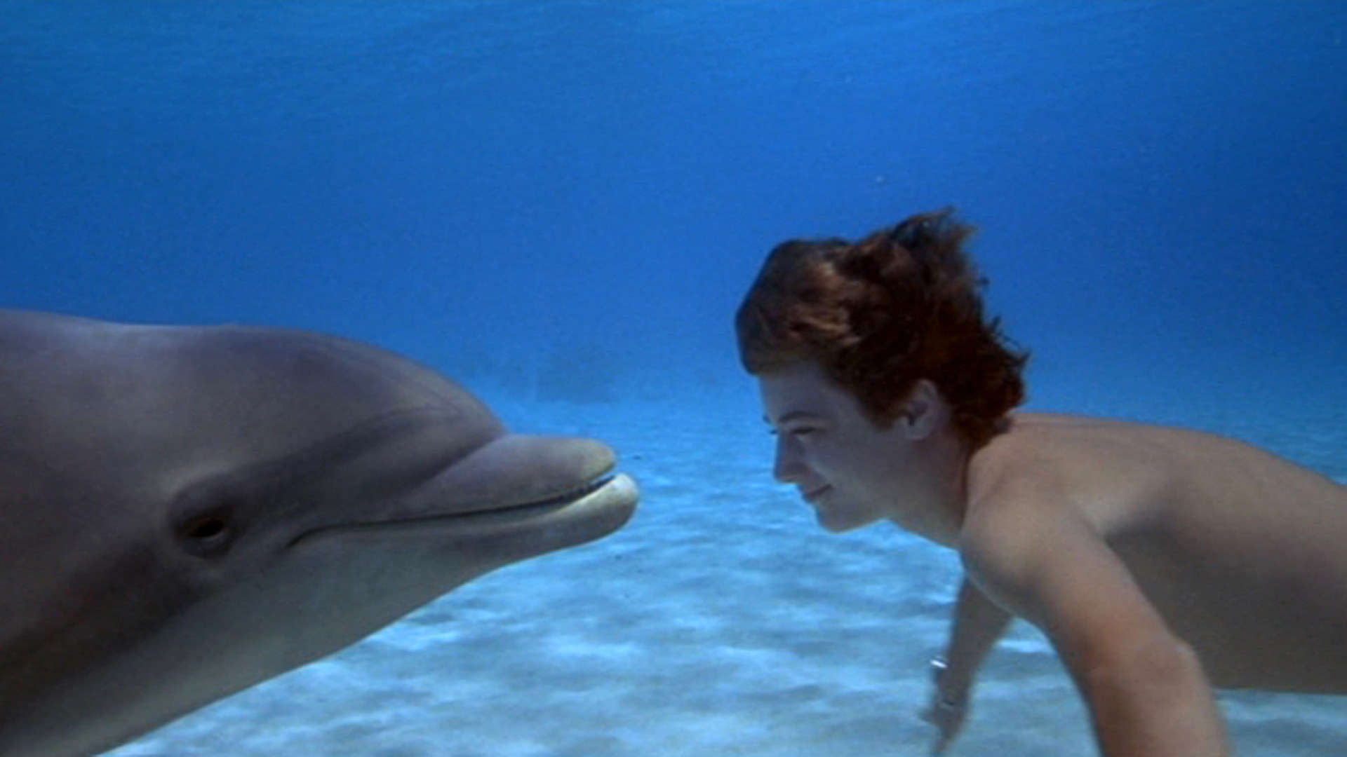 Flipper 1996 720p BRRip x264-x0r Flipper 1996 720p BRRip x264-x0r