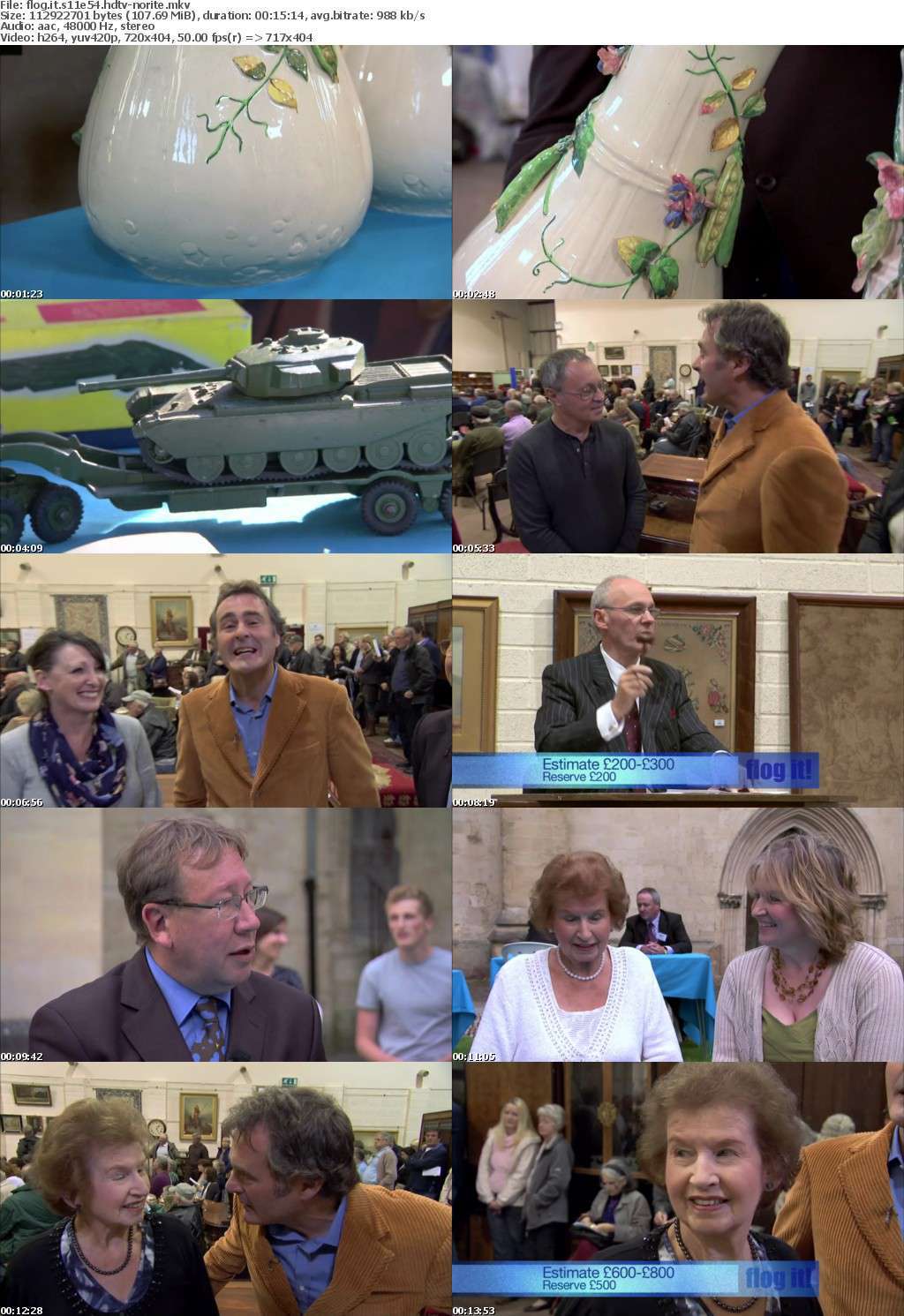 Flog It S11E54 HDTV x264-NORiTE Flog It S11E54 HDTV x264-NORiTE