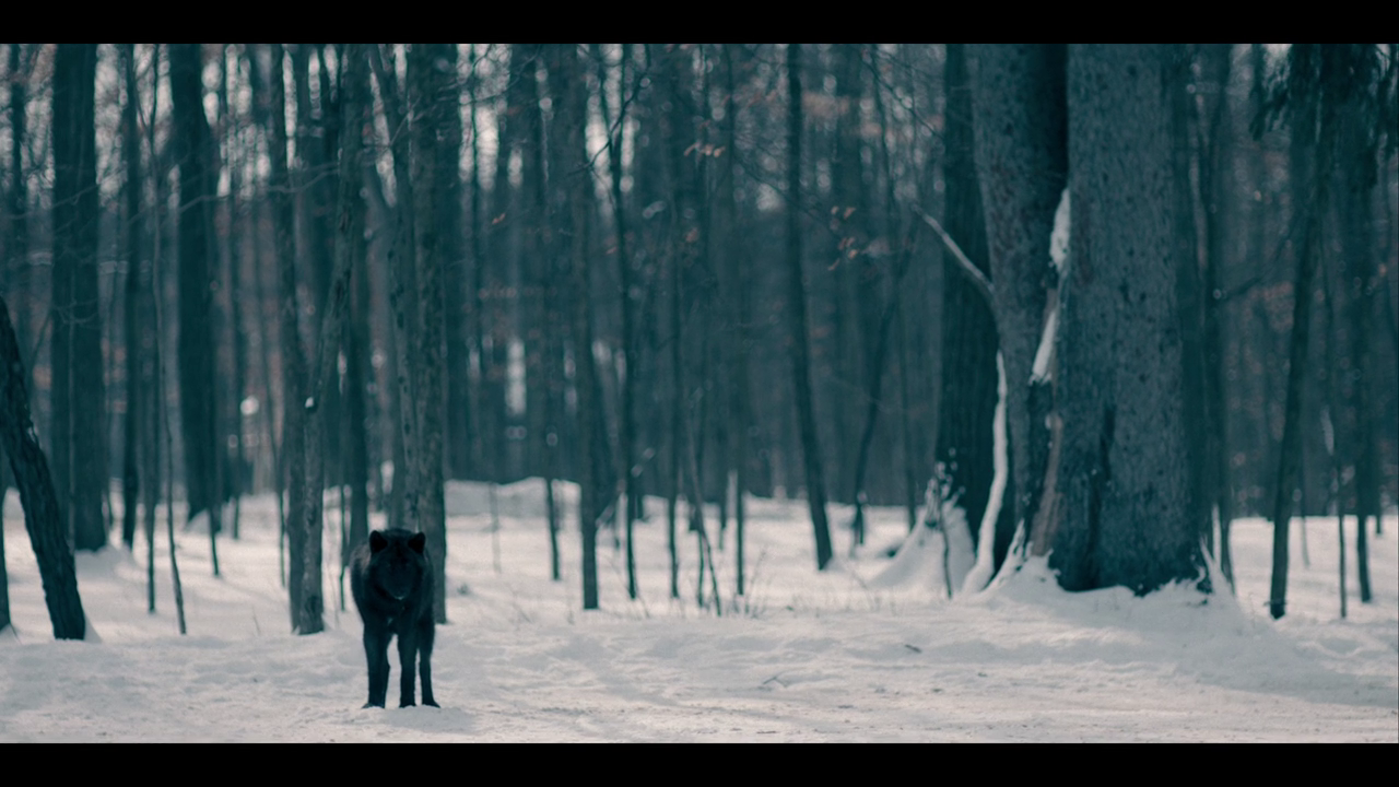 The Handmaid's Tale S02E11 Holly 720p HULU WEB-DL AAC2 0 H 264-NTb The Handmaid's Tale S02E11 Holly 720p HULU WEB-DL AAC2 0 H 264-NTb