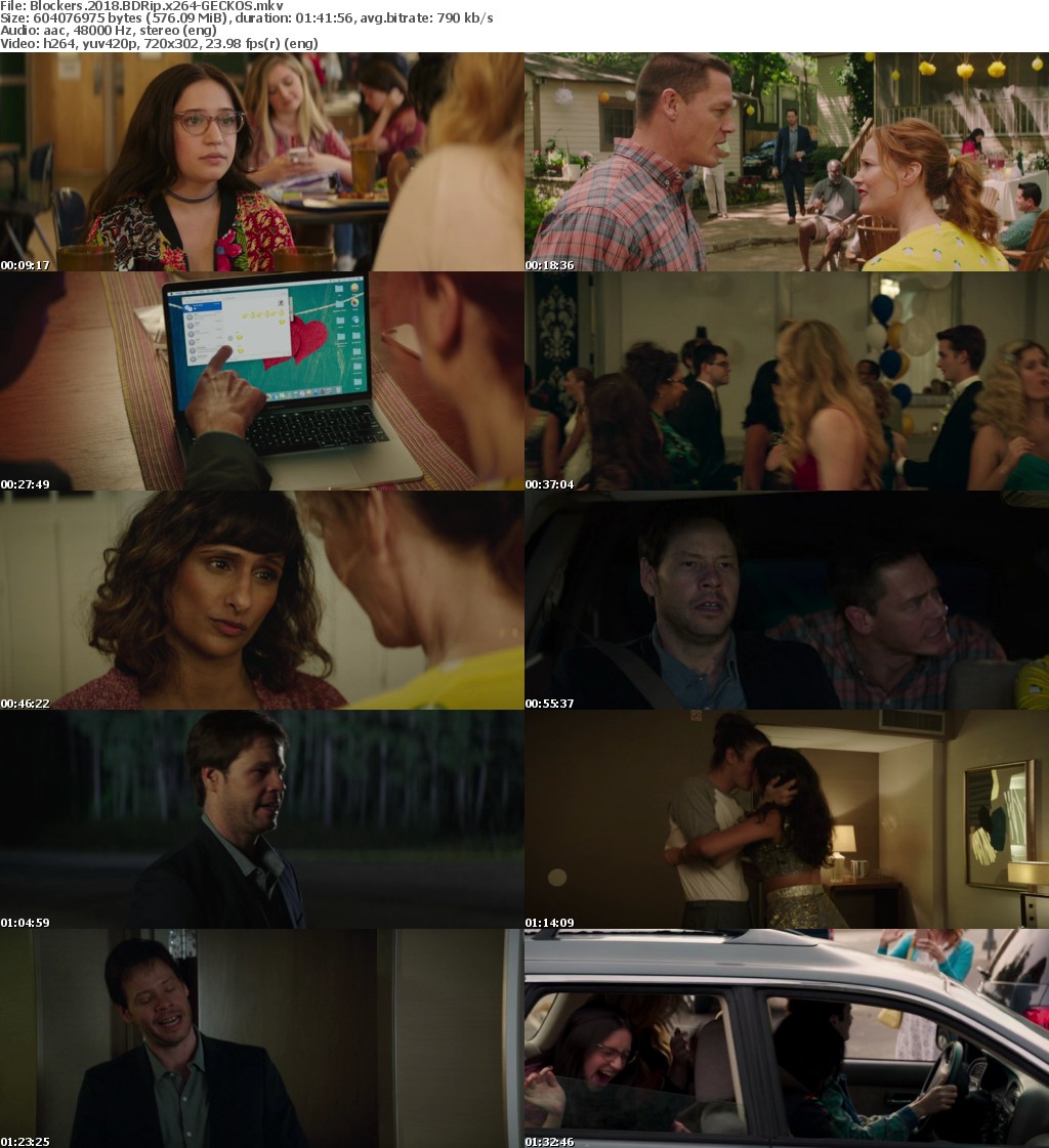 Blockers 2018 BDRip x264-GECKOS Blockers 2018 BDRip x264-GECKOS