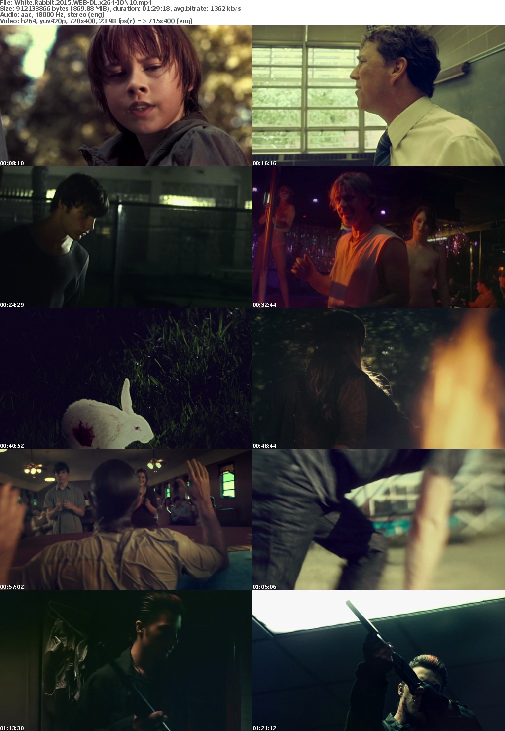 White Rabbit 2015 WEB-DL x264-ION10 White Rabbit 2015 WEB-DL x264-ION10
