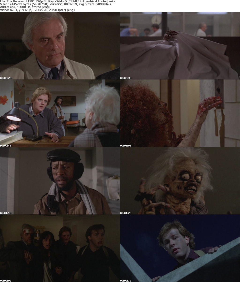 The Boneyard (1991) 720p BluRay x264-x0r