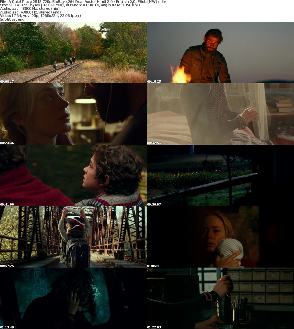 A Quiet Place (2018) 720p BluRay x264 Dual Audio Hindi 2.0 - English 2.0 ESub MW