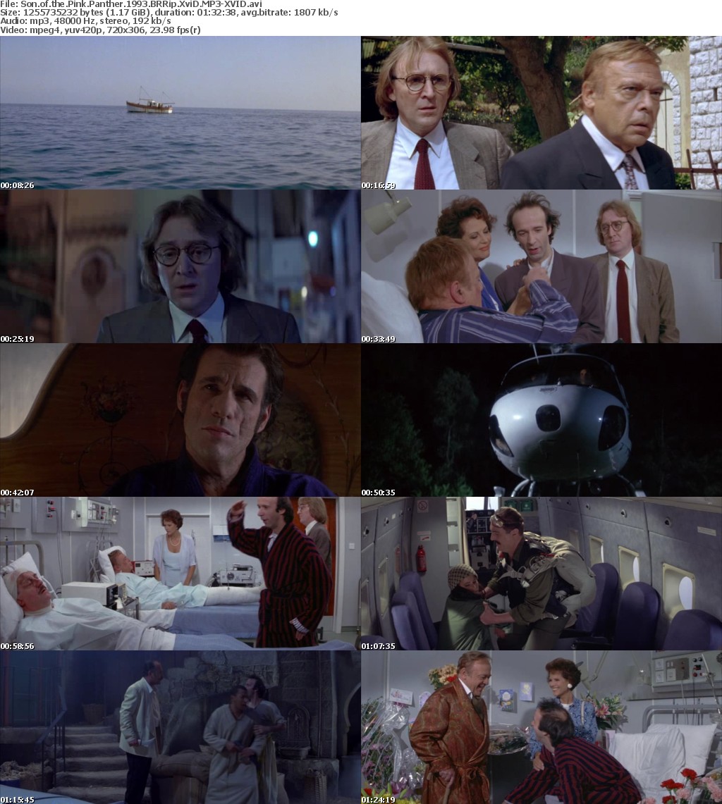 Son of the Pink Panther 1993 BRRip XviD MP3-XVID Son of the Pink Panther 1993 BRRip XviD MP3-XVID