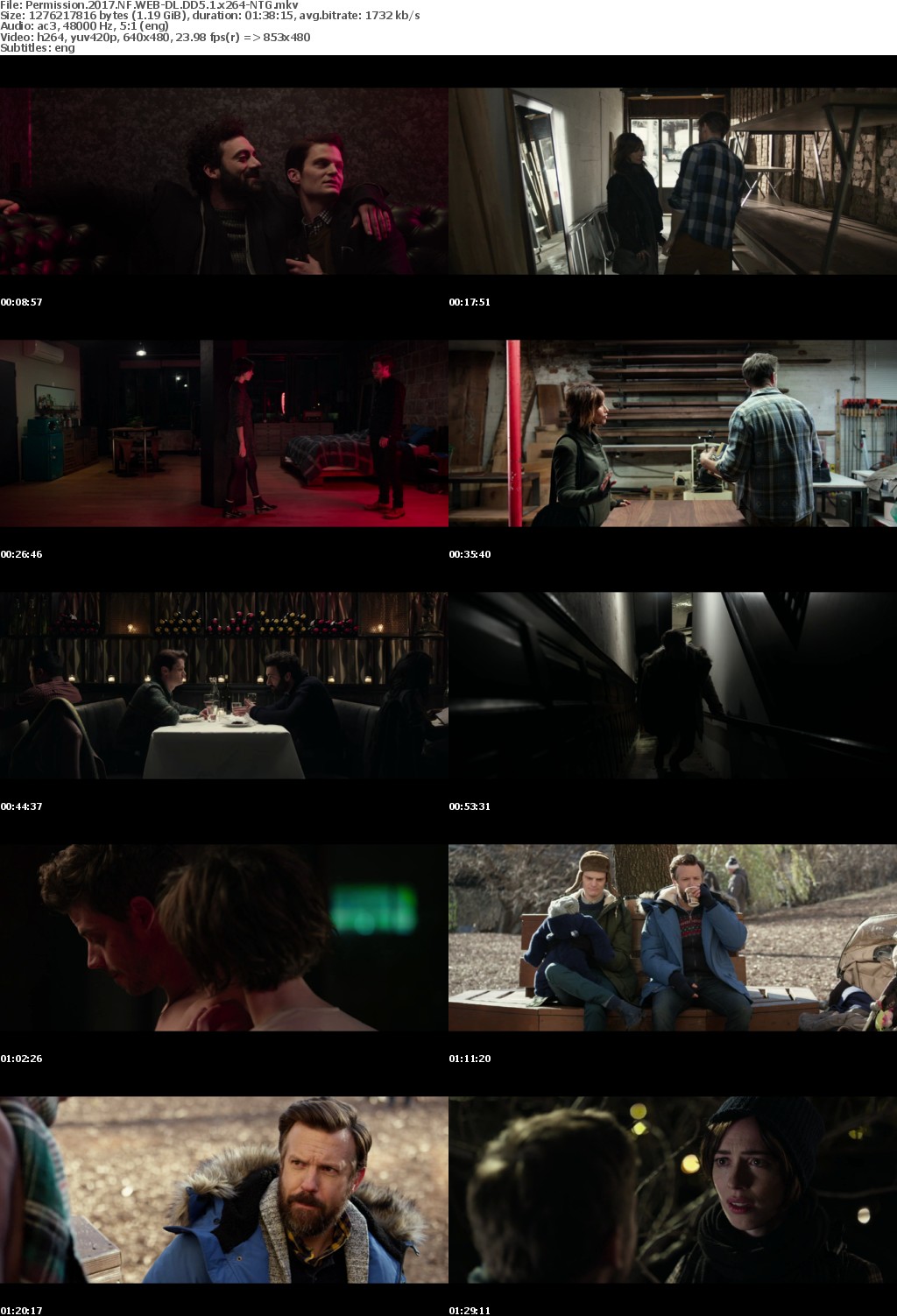 Permission (2017) NF WEB-DL DD5.1 x264-NTG