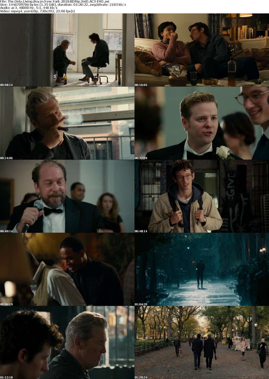 The Only Living Boy in New York (2018) BDRip XviD AC3-EVO