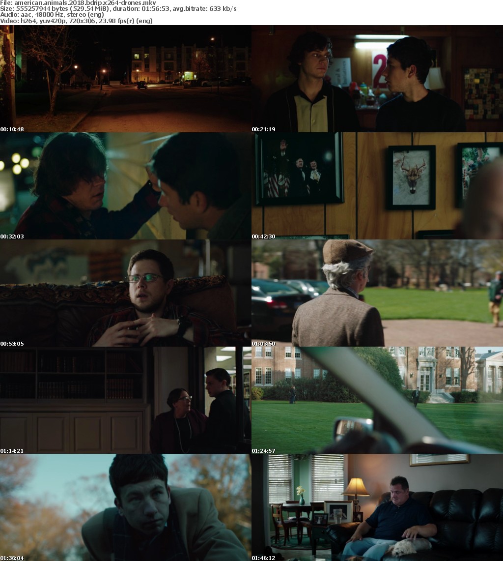 American Animals (2018) BDRip x264-DRONES