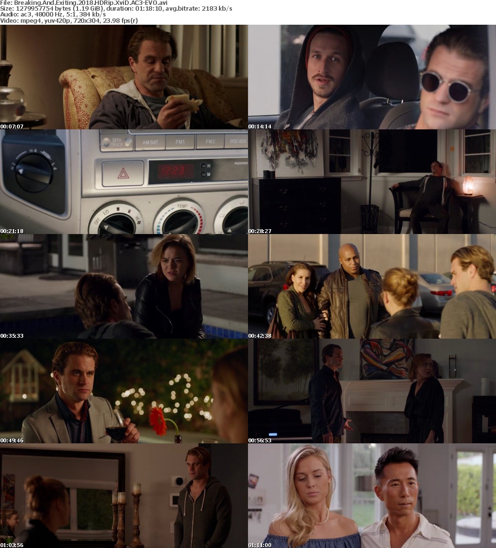 Breaking And Exiting (2018) HDRip XviD AC3-EVO