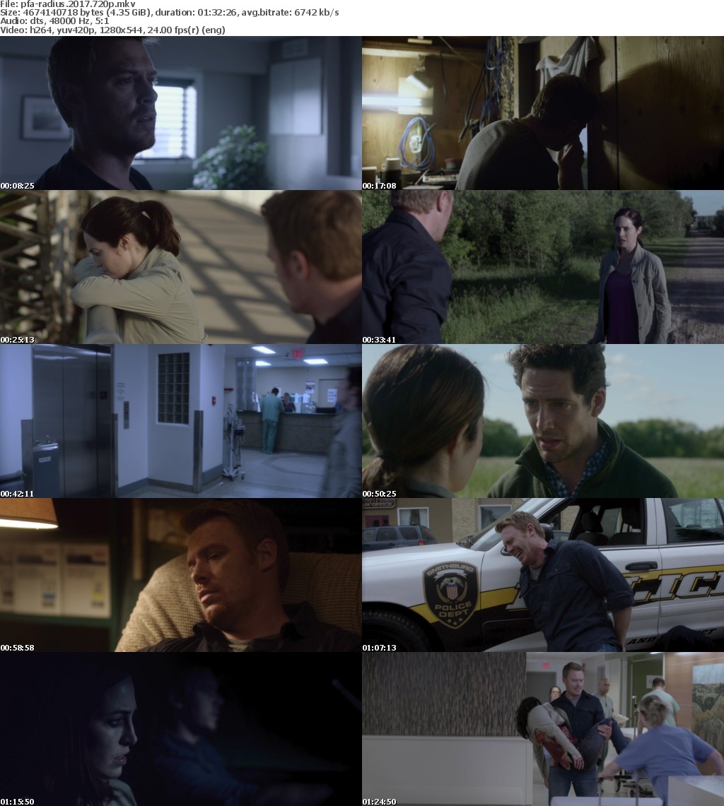 Radius (2017) 720p BluRay x264-PFa