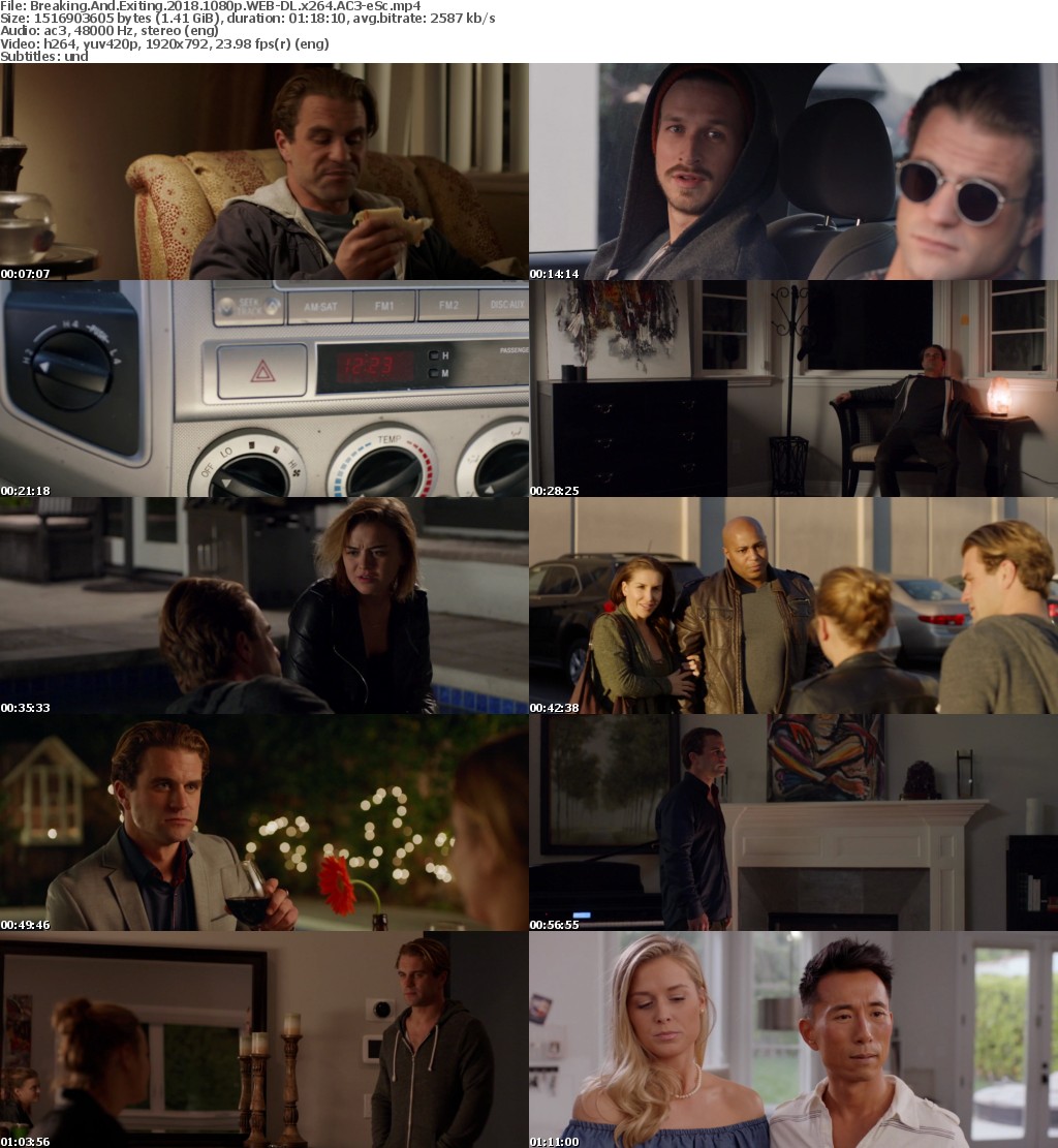 Breaking And Exiting (2018) 1080p WEB-DL x264 AC3-eSc