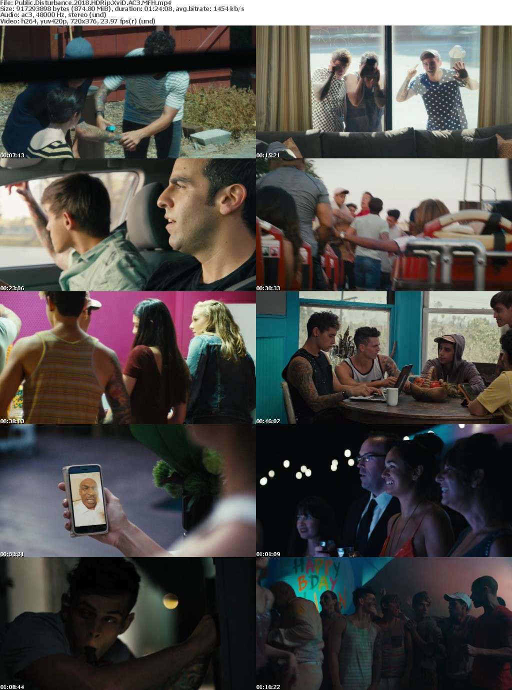 Public Disturbance (2018) HDRip XviD AC3 MFH