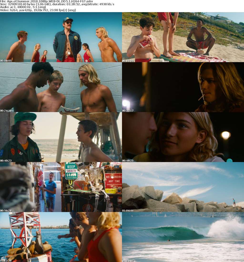 Age of Summer (2018) 1080p WEB-DL DD5.1 H264-FGT