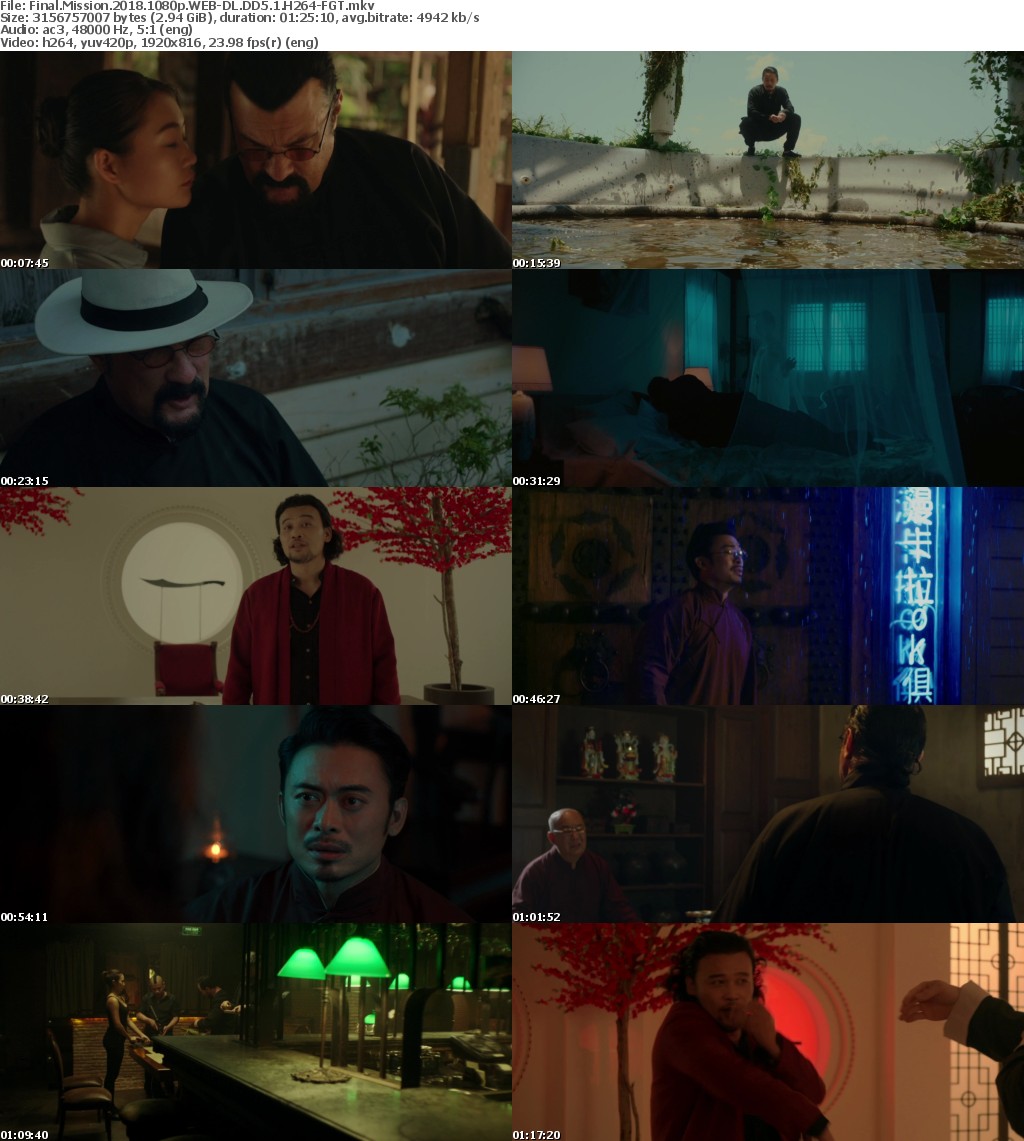 Final Mission (2018) 1080p WEB-DL DD5.1 H264-FGT