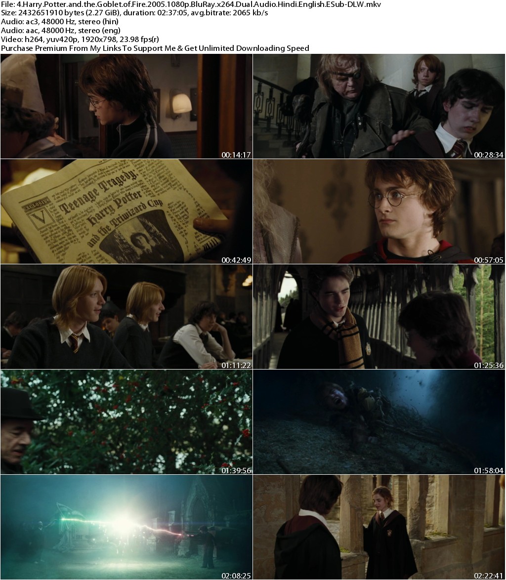 Harry Potter and the Goblet of Fire (2005) 1080p BluRay x264 Dual Audio Hindi English ESub-DLW