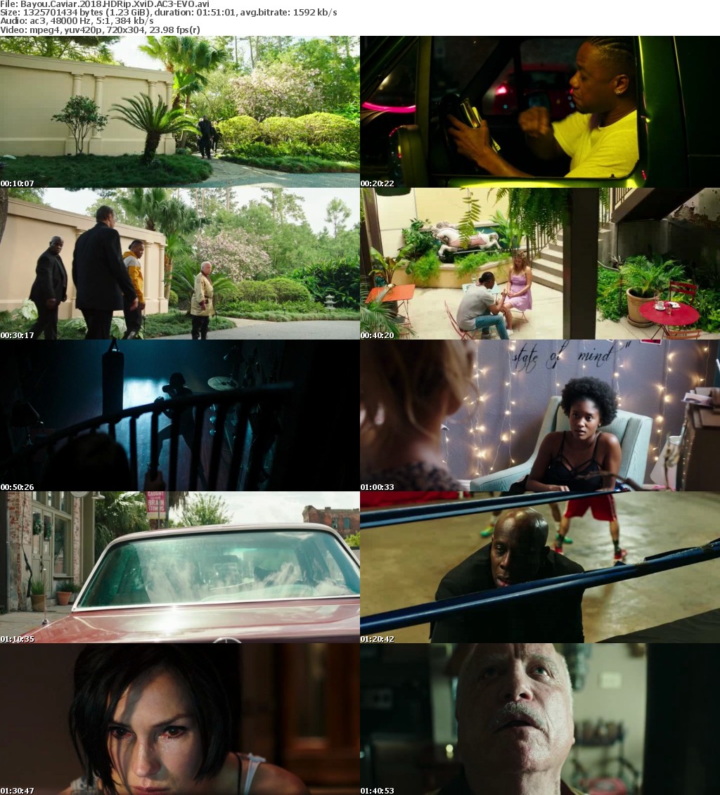 Bayou Caviar (2018) HDRip XviD AC3-EVO