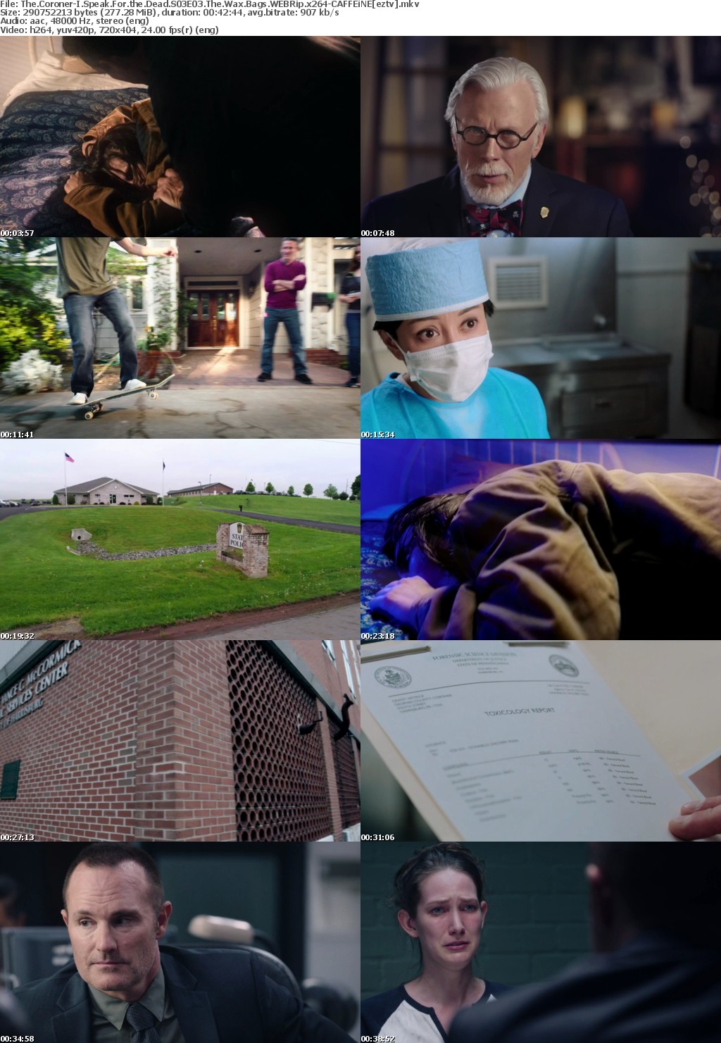 The Coroner-I Speak For the Dead S03E03 The Wax Bags WEBRip x264-CAFFEiNE The Coroner-I Speak For the Dead S03E03 The Wax Bags WEBRip x264-CAFFEiNE