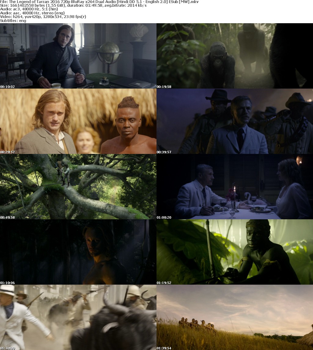 The Legend of Tarzan (2016) 720p BluRay x264 Dual Audio Hindi DD 5.1-English 2.0 ESub MW