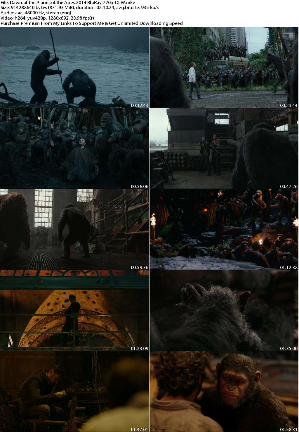 Dawn of the Planet of the Apes (2014) 720p BluRay x264-DLW