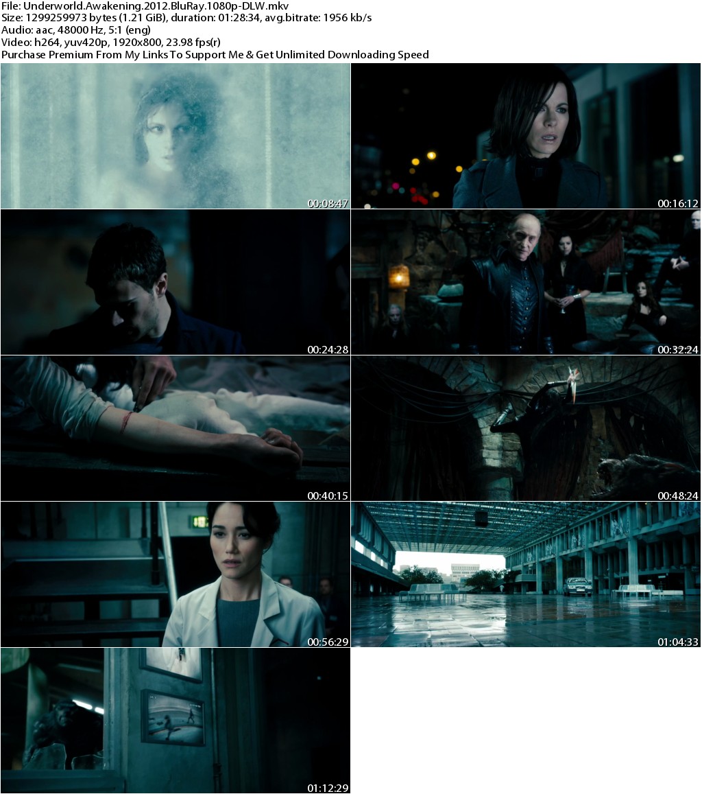 Underworld Awakening (2012) 1080p BRRip x264-DLW