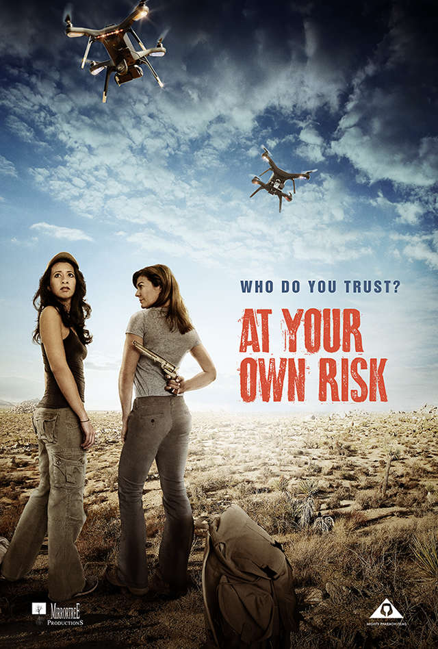 At Your Own Risk (2018) HDRip AC3 X264-CMRG