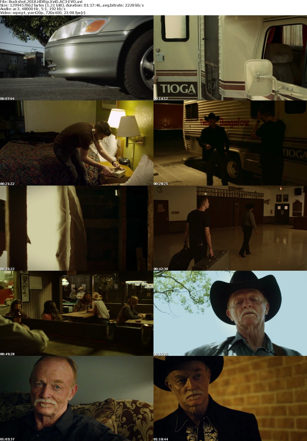 Buckshot (2018) HDRip XviD AC3-EVO