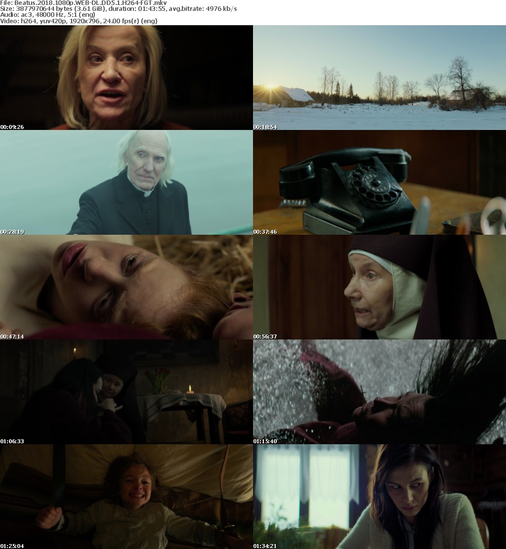 Beatus (2018) 1080p WEB-DL DD5.1 H264-FGT