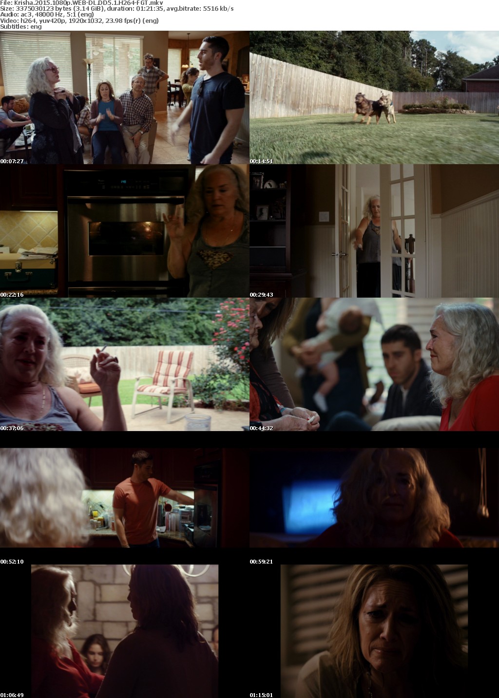 Krisha (2015) 1080p WEB-DL DD5.1 H264-FGT