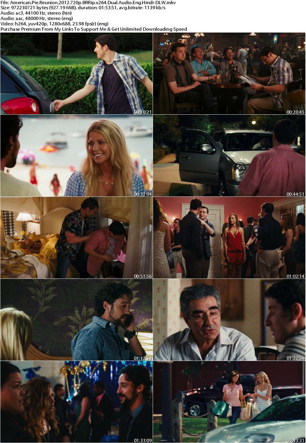 American Pie Reunion (2012) 720p BRRip x264 Dual Audio Eng Hindi-DLW