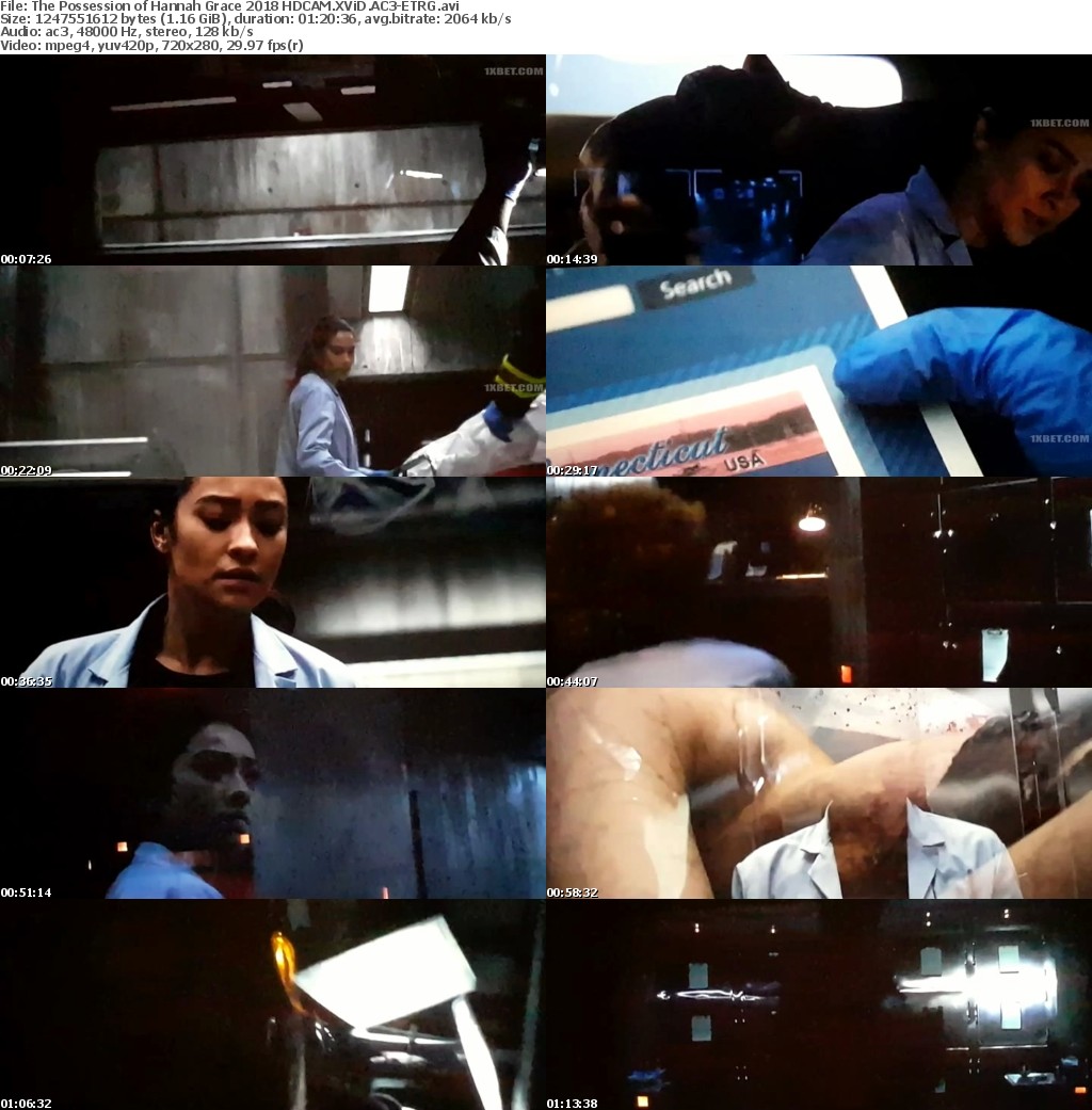 The Possession of Hannah Grace (2018) HDCAM XViD AC3-ETRG