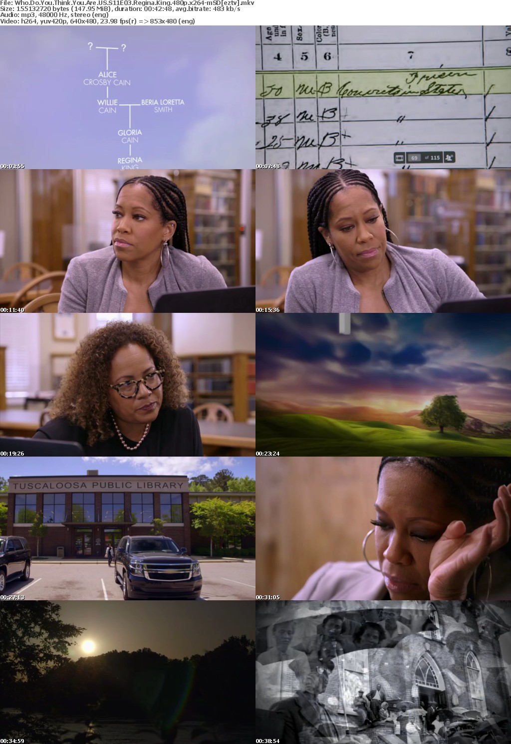 Who Do You Think You Are US S11E03 Regina King 480p x264-mSD