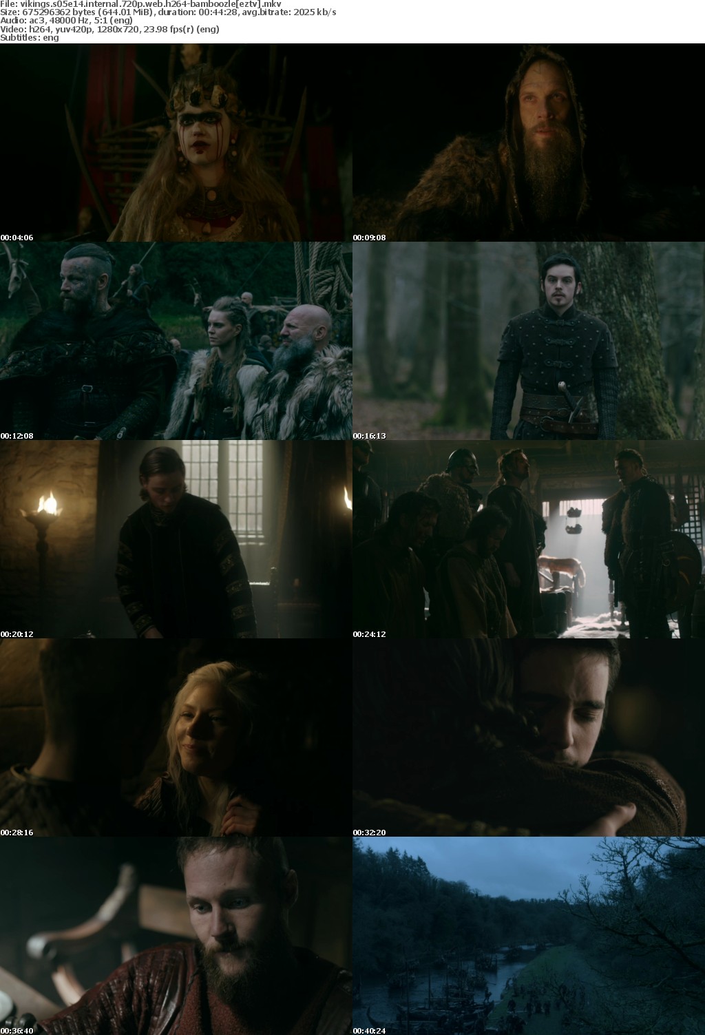 Vikings S05E14 iNTERNAL 720p WEB h264-BAMBOOZLE