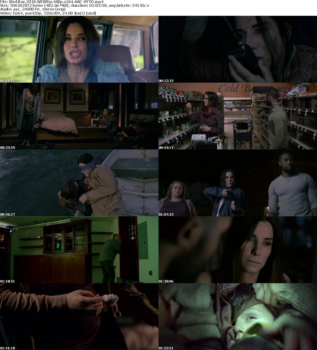 Bird Box (2018) WEBRip 480p x264 AAC-VYTO P2PDL