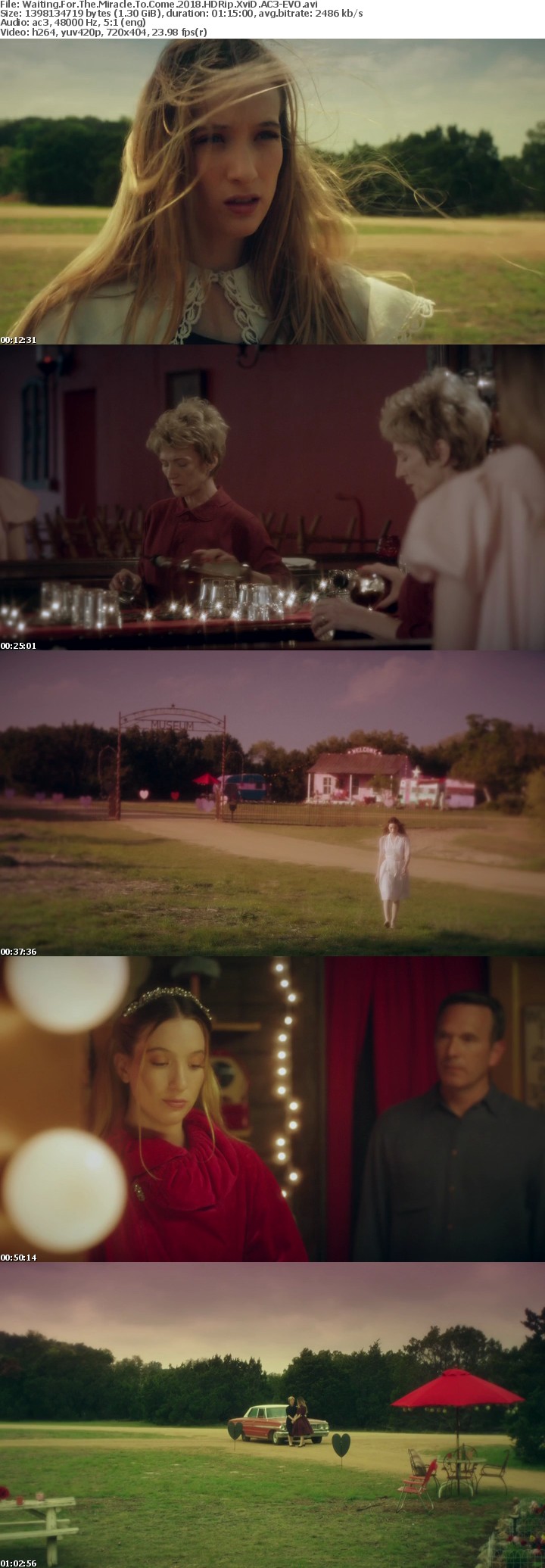 Waiting For The Miracle To Come 2018 HDRip XviD AC3-EVO Waiting For The Miracle To Come 2018 HDRip XviD AC3-EVO