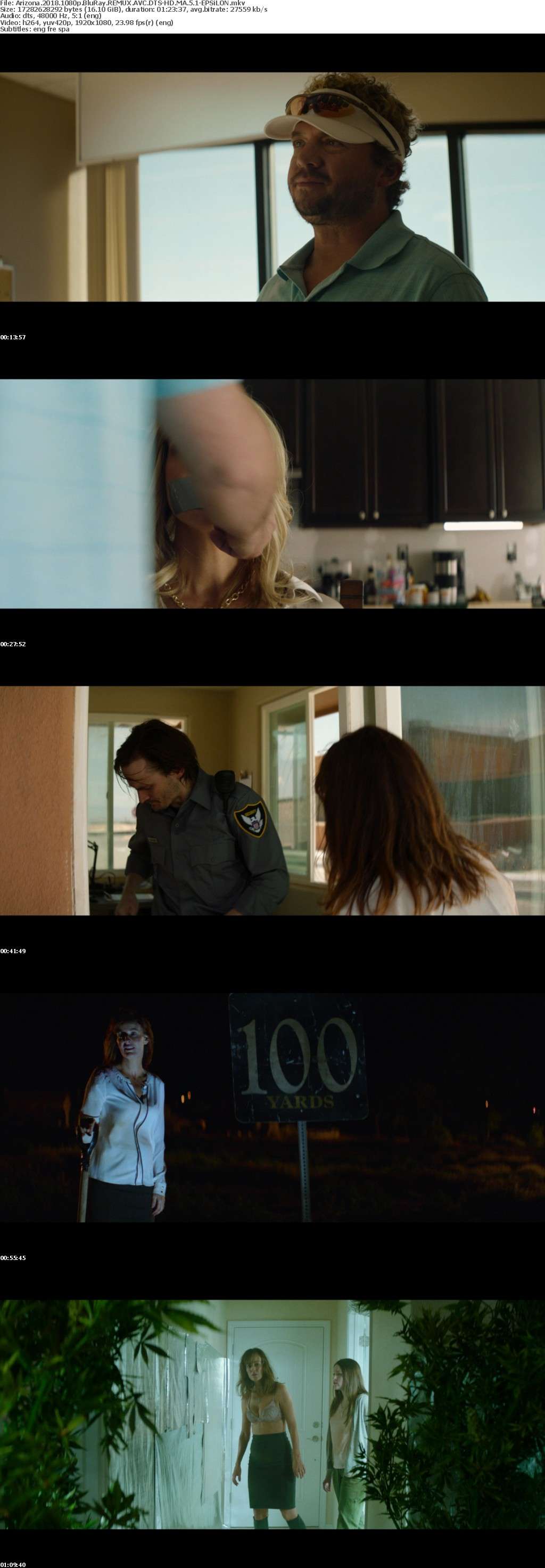 Arizona 2018 1080p BluRay REMUX AVC DTS-HD MA 5 1-EPSiLON Arizona 2018 1080p BluRay REMUX AVC DTS-HD MA 5 1-EPSiLON