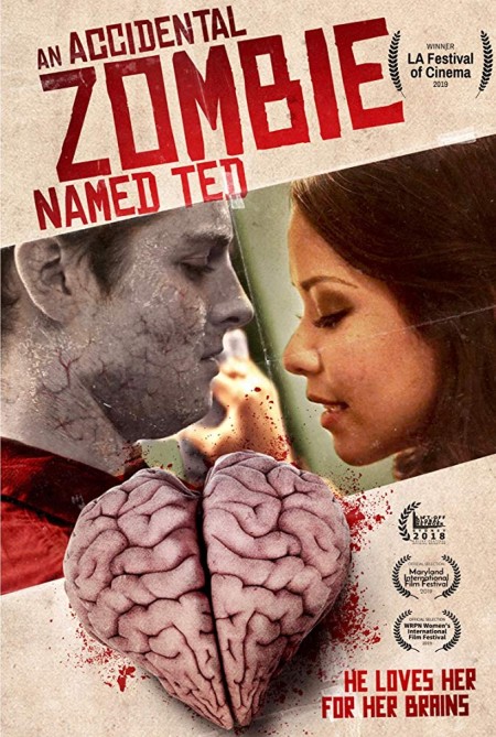 An Accidental Zombie Named Ted (2017) LIMITED WEBRip x264-ASSOCiATE