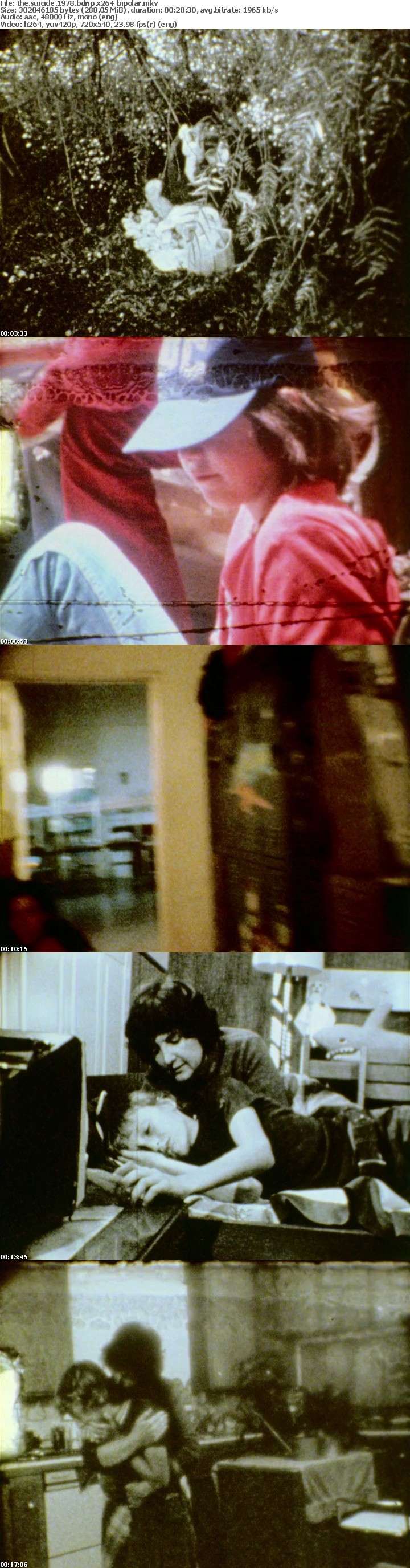The Suicide 1978 BDRip x264-BiPOLAR The Suicide 1978 BDRip x264-BiPOLAR