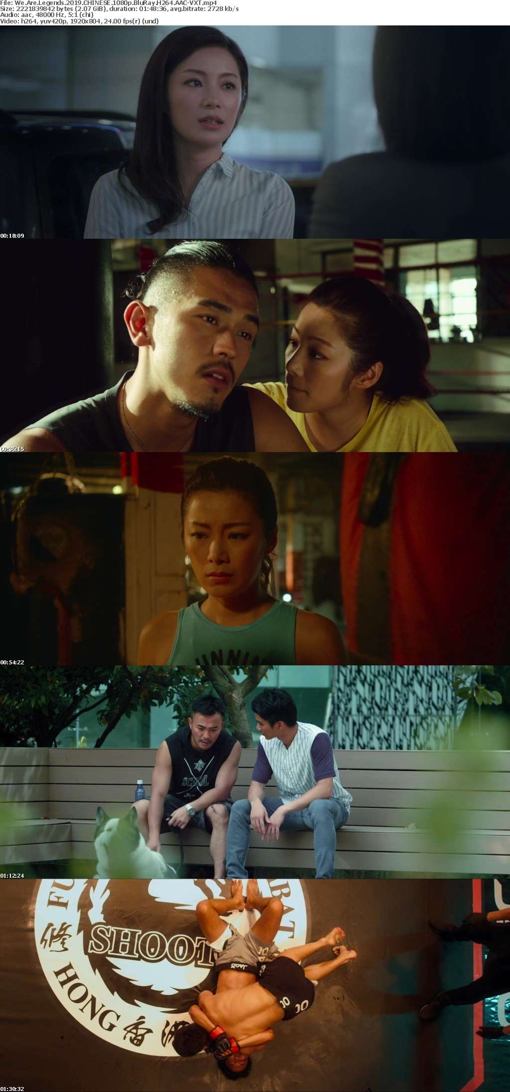 We Are Legends 2019 CHINESE 1080p BluRay H264 AAC-VXT We Are Legends 2019 CHINESE 1080p BluRay H264 AAC-VXT