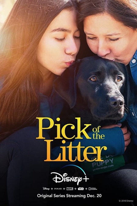 Pick Of The Litter S01E02 720p WEB h264-ASCENDANCE