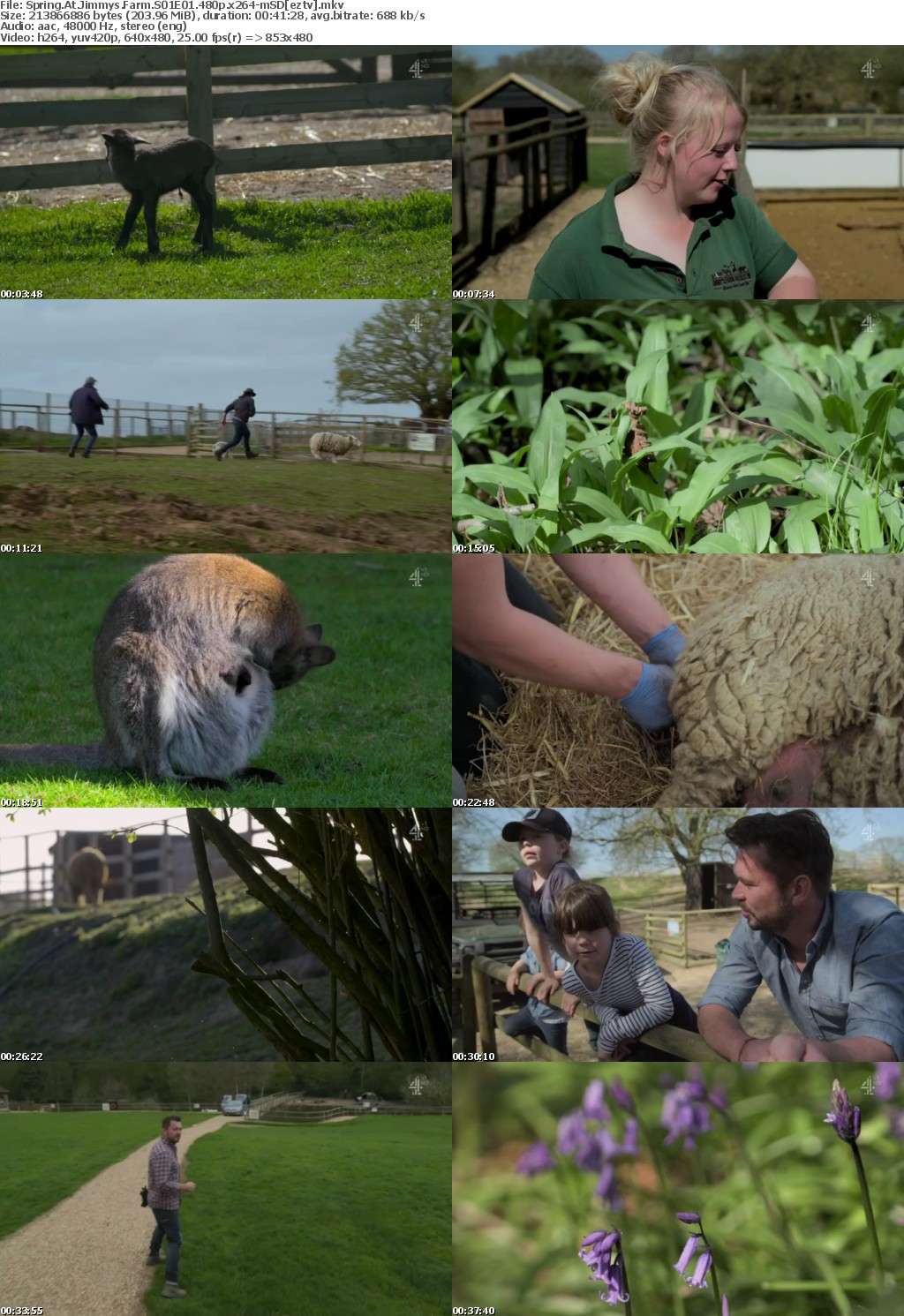 Spring At Jimmys Farm S01E01 480p x264-mSD Spring At Jimmys Farm S01E01 480p x264-mSD