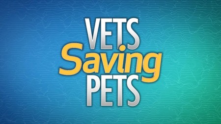 Vets Saving Pets S02E16 A Bit Of Elbow Grease WEB x264-LiGATE